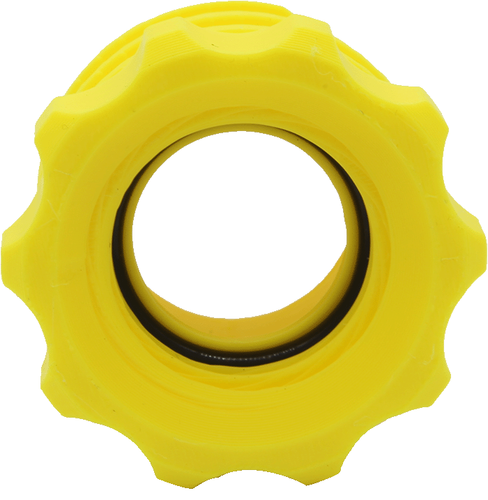 Canary