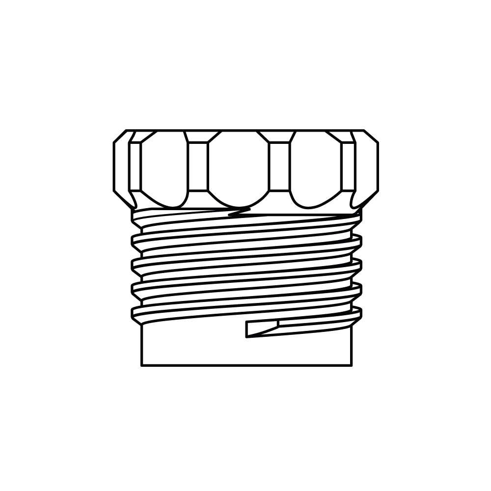 Sassette